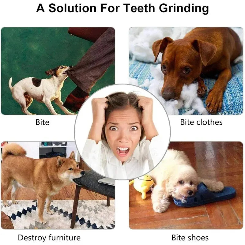 Interactive Treat-Dispensing Dog Toy Ball