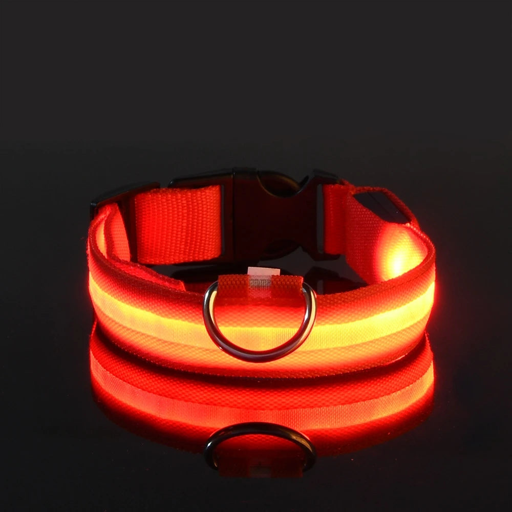 LED Glow-in-the-Dark Dog Collar — Rechargeable