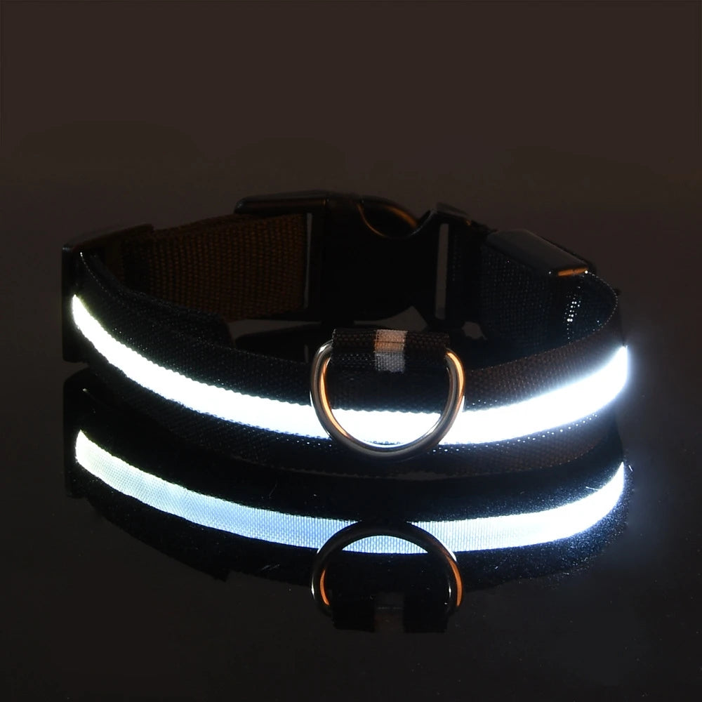 LED Glow-in-the-Dark Dog Collar — Rechargeable