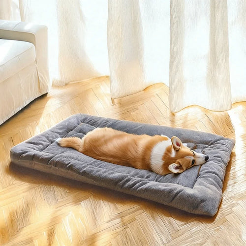 Extra Large Plush Dog Bed — Ultra Soft