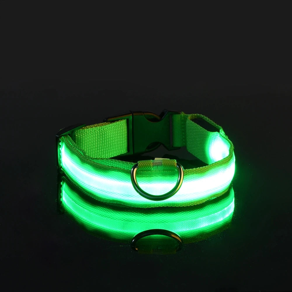 LED Glow-in-the-Dark Dog Collar — Rechargeable