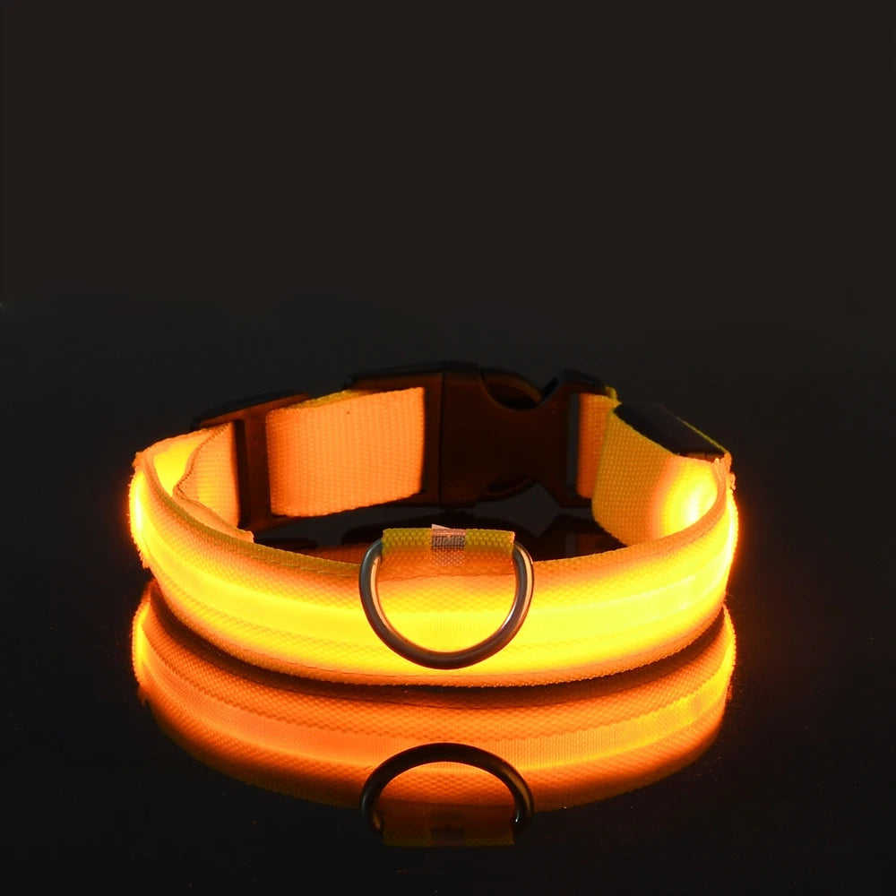LED Glow-in-the-Dark Dog Collar — Rechargeable