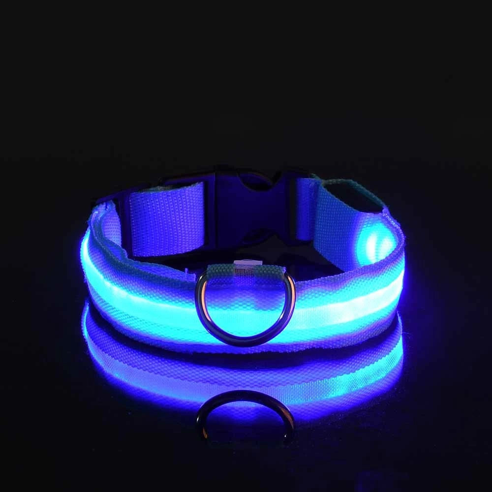 LED Glow-in-the-Dark Dog Collar — Rechargeable