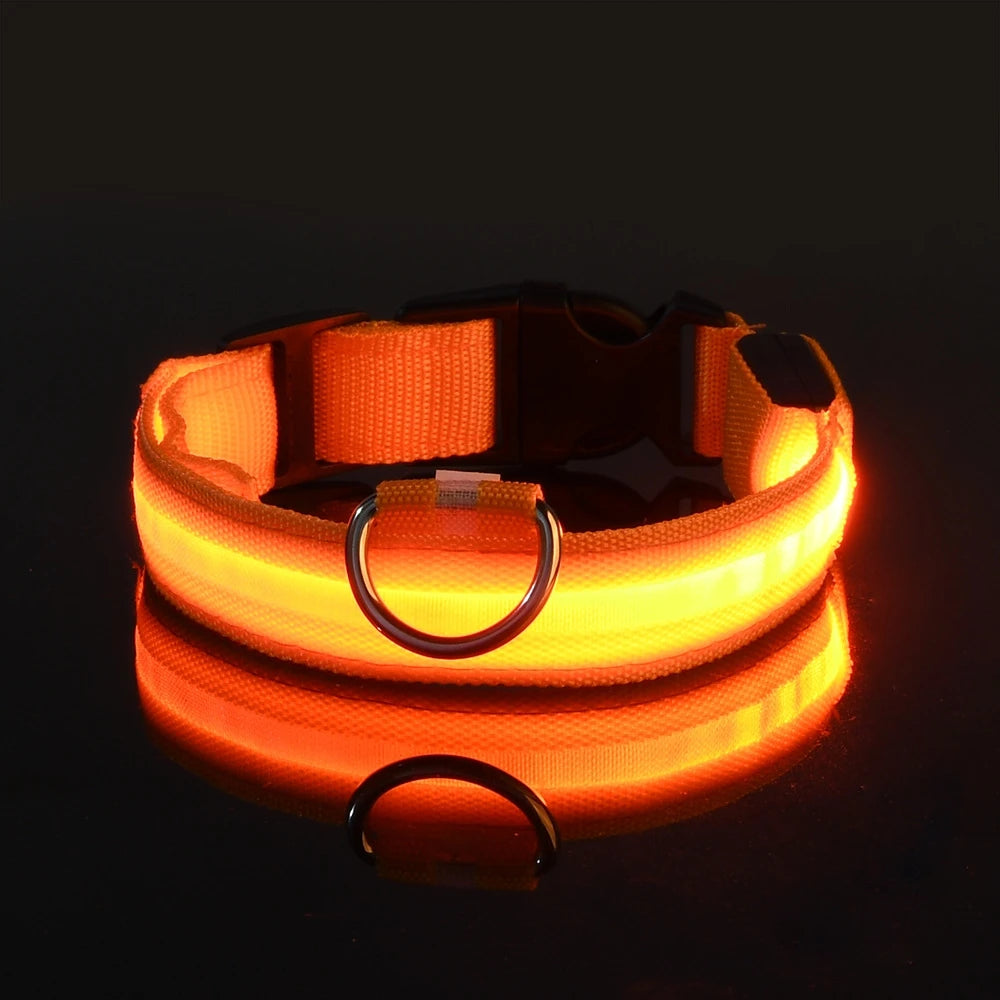 LED Glow-in-the-Dark Dog Collar — Rechargeable