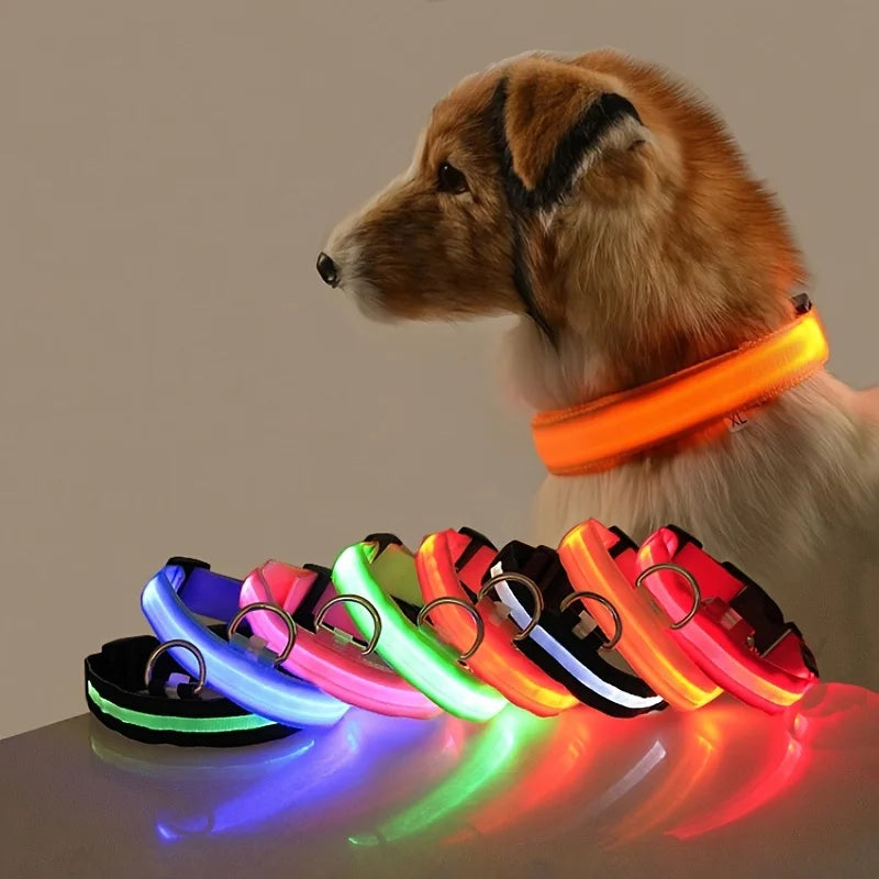 LED Glow-in-the-Dark Dog Collar — Rechargeable