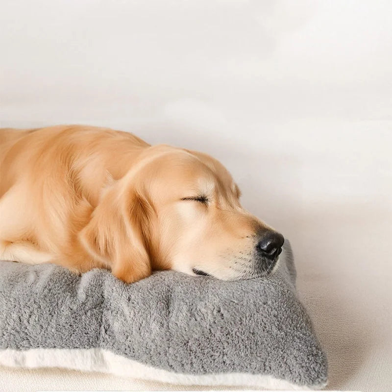 Extra Large Plush Dog Bed — Ultra Soft