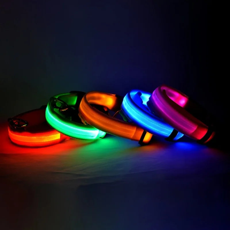 LED Glow-in-the-Dark Dog Collar — Rechargeable