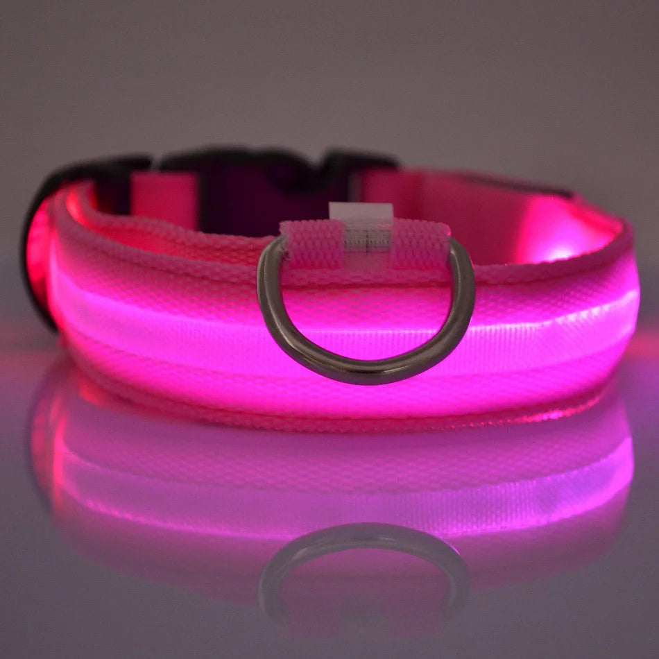 LED Glow-in-the-Dark Dog Collar — Rechargeable