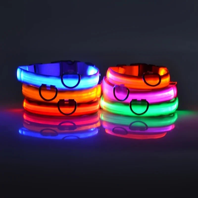 LED Glow-in-the-Dark Dog Collar — Rechargeable