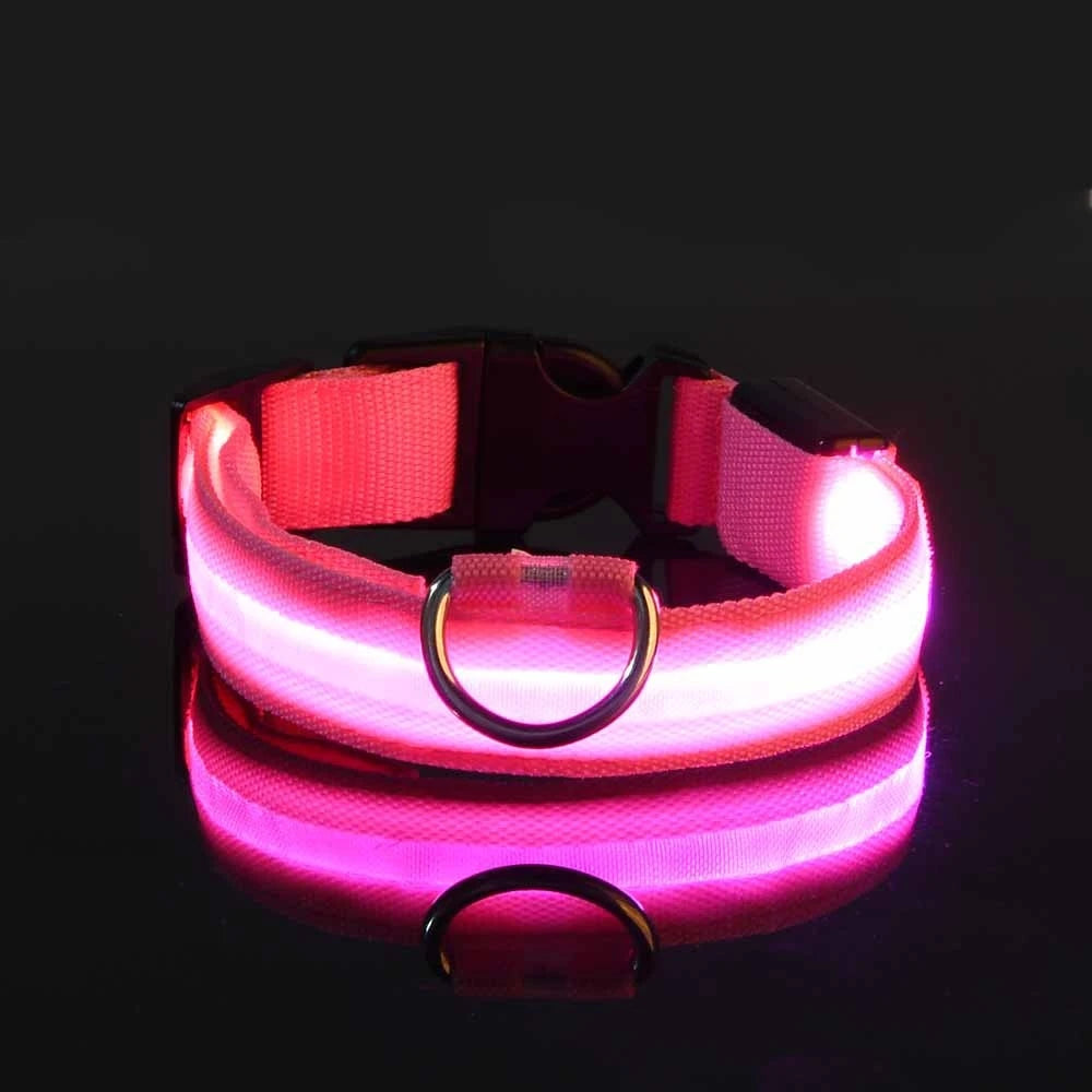 LED Glow-in-the-Dark Dog Collar — Rechargeable